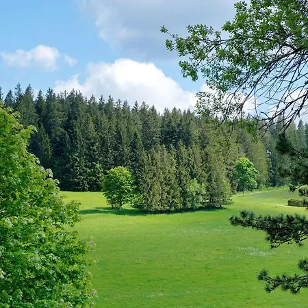 Jachmann, 80qm Appartement